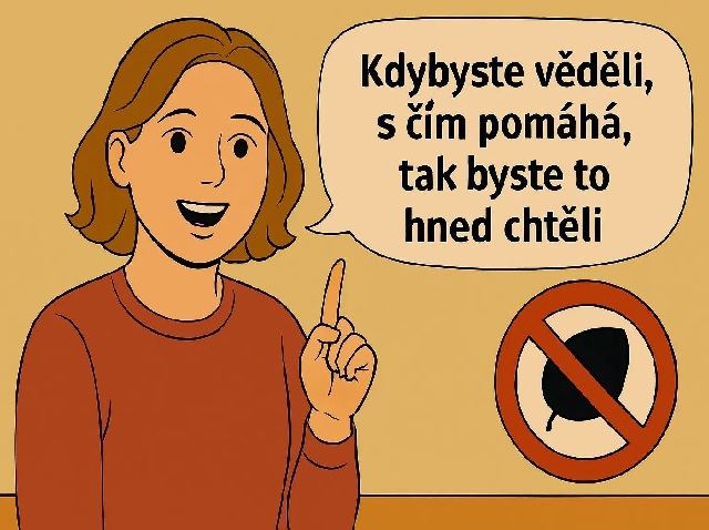 OK Kdybyste